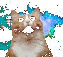 AnimatedMLGCat AnimatedMLGCat