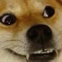 derp derp