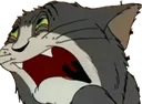 wtfTom