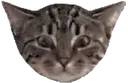 pixel pixel