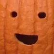 vezleyPunkin