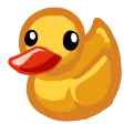 kwaak kwaak