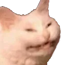 angi