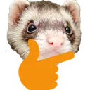 thinkferret thinkferret