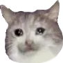 sadkitteh