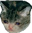 sadcade Discord emoji