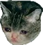 sadcade