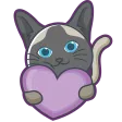 meowymBILBS