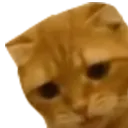 FeelsMozzyMan FeelsMozzyMan