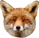 Foxy foxy Discord Emoji