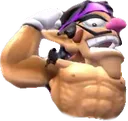 WAHFlex