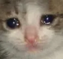 juicyeyes