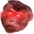 HYPERCHIMPBRUH HYPERCHIMPBRUH