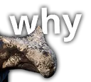 why
