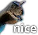nice