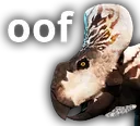 oof oof