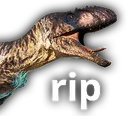 rip rip