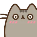 pusheen_embarrased