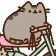 pusheen_cycling