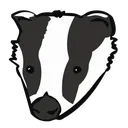 badgerface