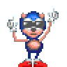 sonic sonic
