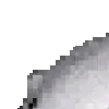 1_bigbear