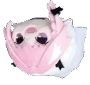 sucksyourdickandcallsyougay