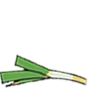 leek