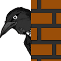 CrowWatching