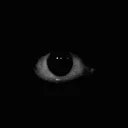 wtfeye wtfeye