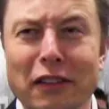 elonCringe