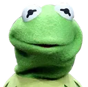 KermitSmirk