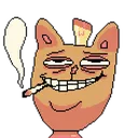 catSmoke