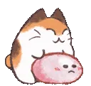 nagorub nagorub