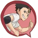 HVCafnishinoya