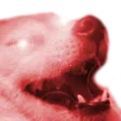 DogeHyperKek