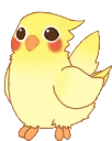 birbconga6