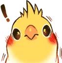 birbexcite