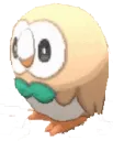 round_owl