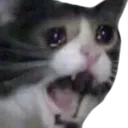 Pease_stop