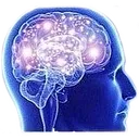 brain2