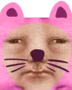 amor_kitten
