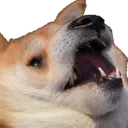 dag