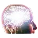 BrainGenius BrainGenius