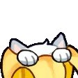 thetidPOGGERS