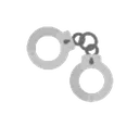 Jailer