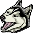 ignore1Saphira