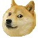 doge