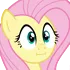 flutterkay