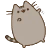 wave_pusheen